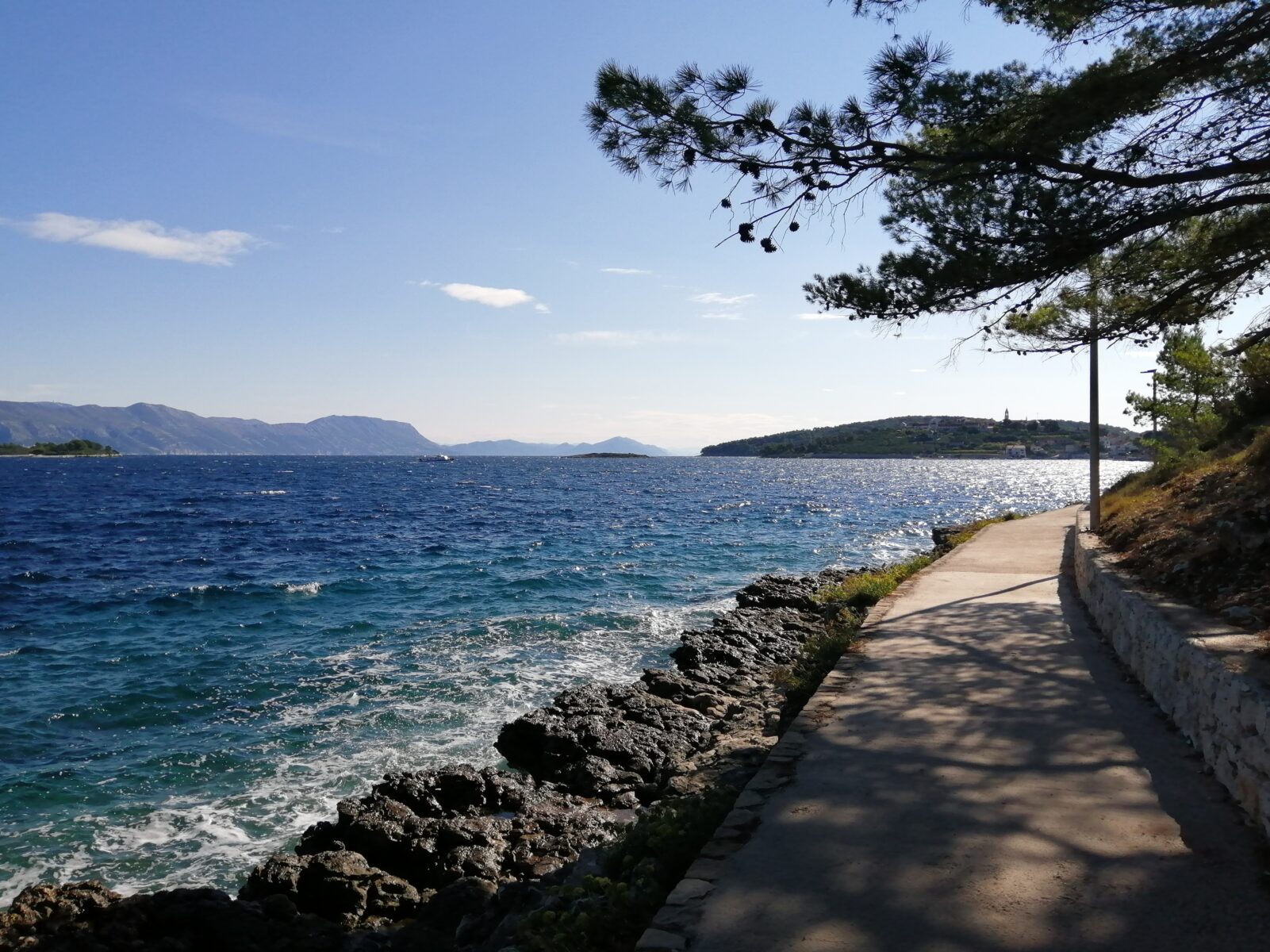 Puiden varjostama kävelytie aivan meren rannalla.