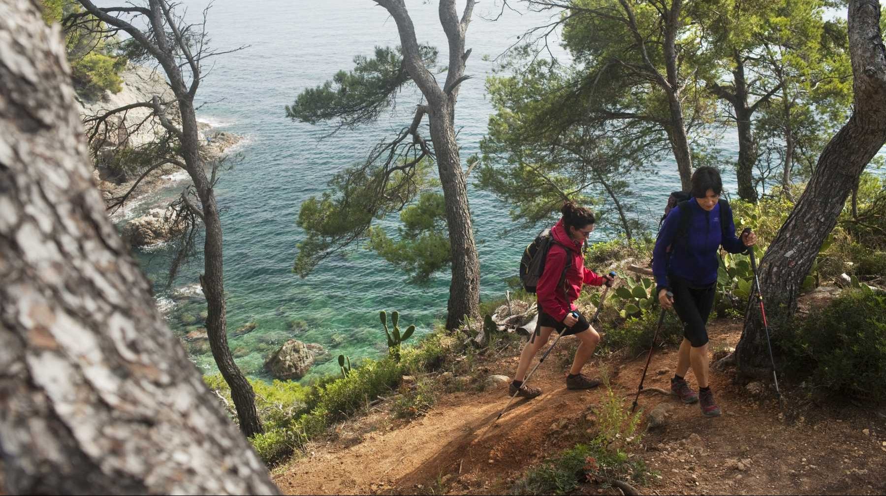 Kaksi naista vaellussauvojen kanssa nousee ylämäkeä vuoristomäntyjen varjostamalla polulla.