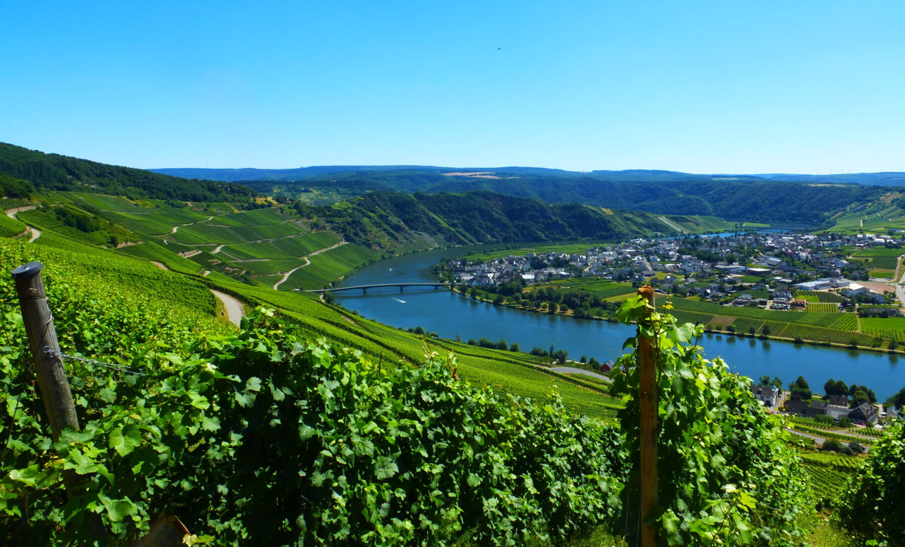 Sininen joki vehreiden viinirinteiden ympäröimänä.