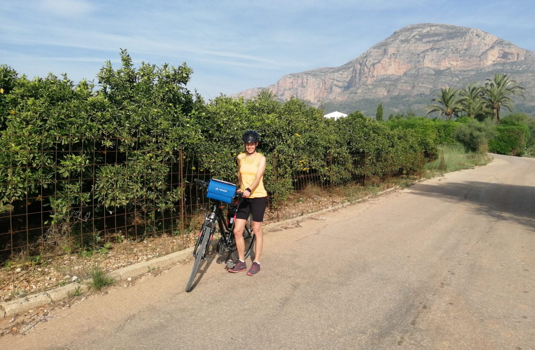 Pyöräililjä maalaistiellä hedelmätarhan laidalla. Taustalla Montgo-vuori.