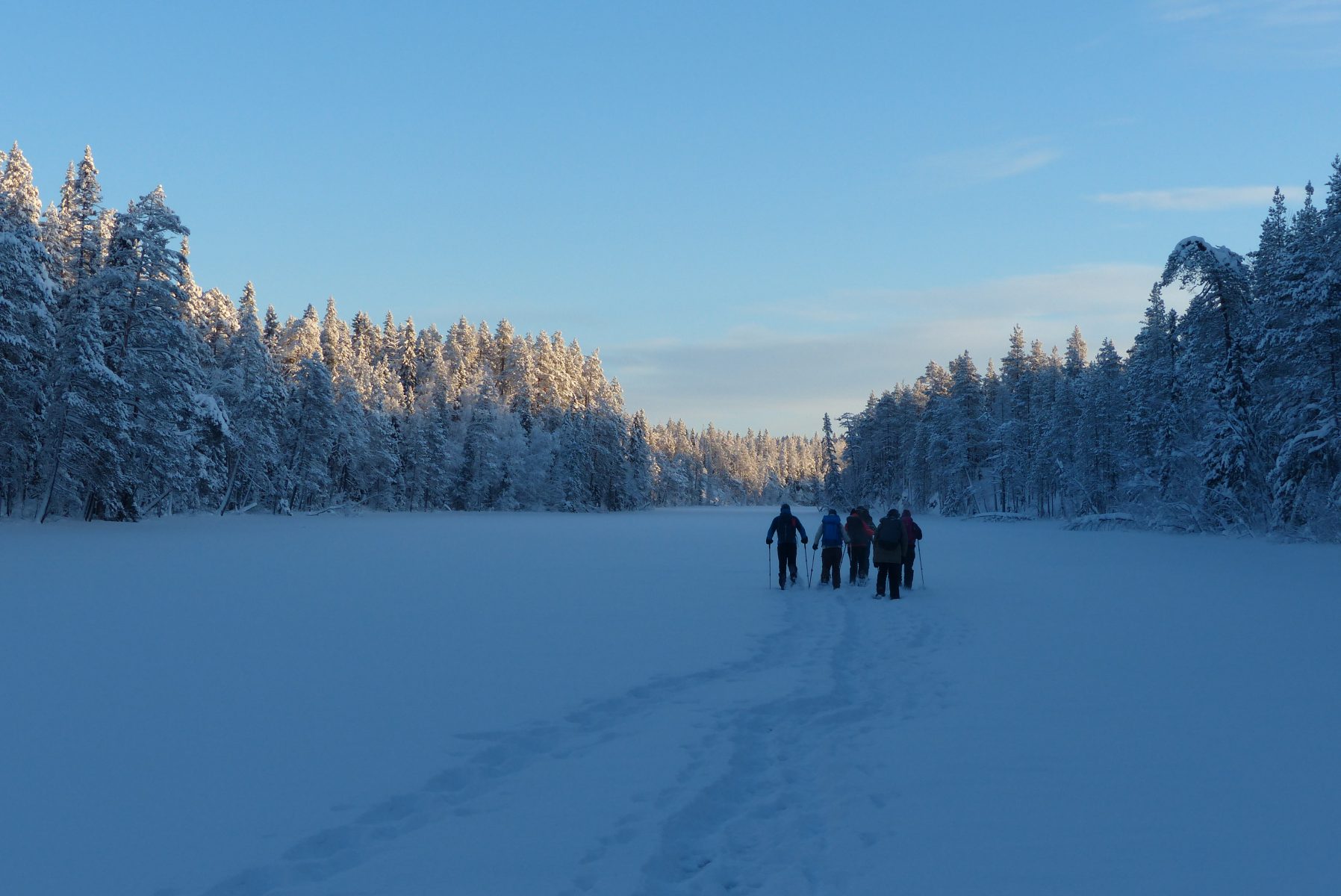 Ryhmä lumikenkäilijöitä tammikuun "sinisessä hetkessä" järven jäällä. Ympärillään kauniin kuuraiset puut.