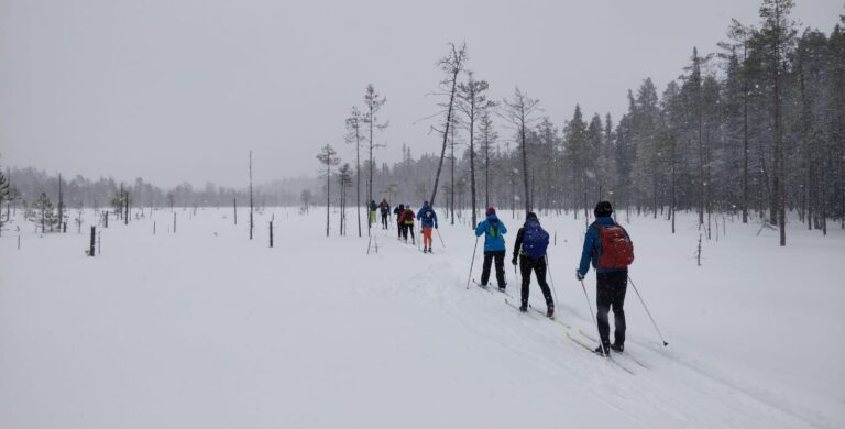 Letka hiihtäjiä hiihtää halki suon kevyessä lumisateessa