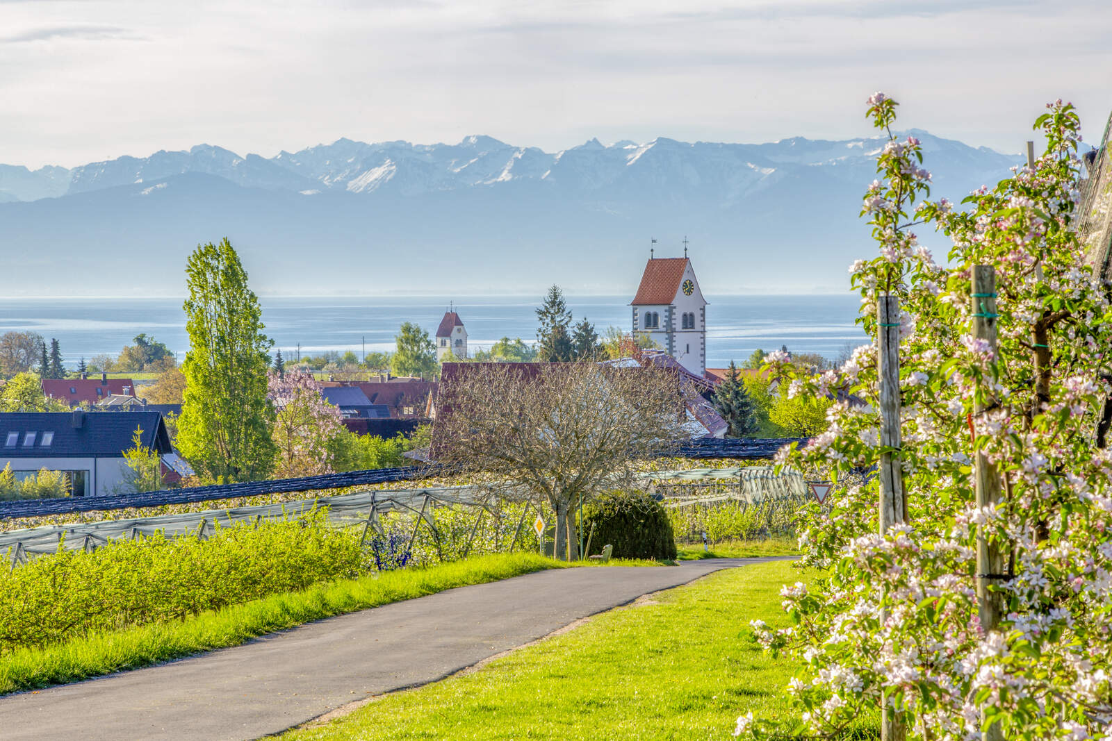 Pyörätie, jonka taustalla järvi ja vuoristo